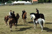 Cavallinfiera - San Leonardo